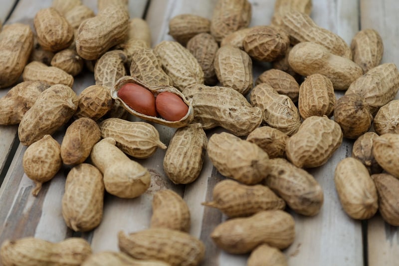 Protein-packed Snacks